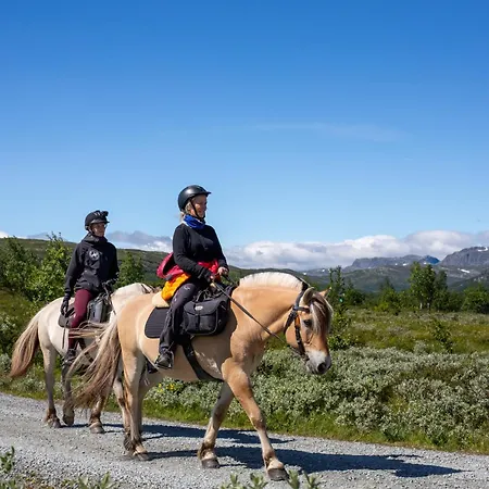 Modern 4-bedroom Beitostolen