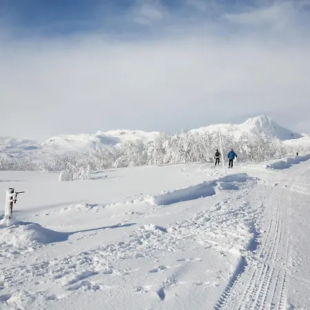 Modern 4-bedroom Beitostolen