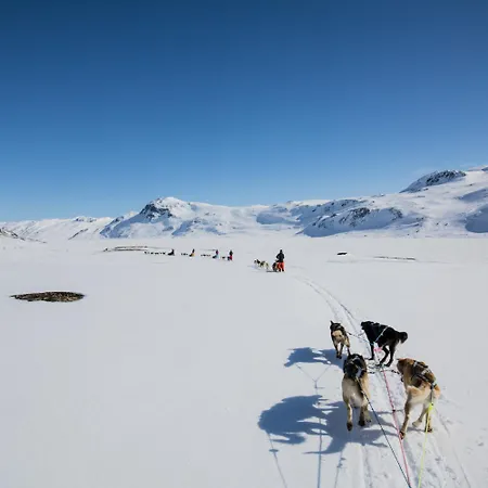 Апартаменты Modern 4-bedroom *